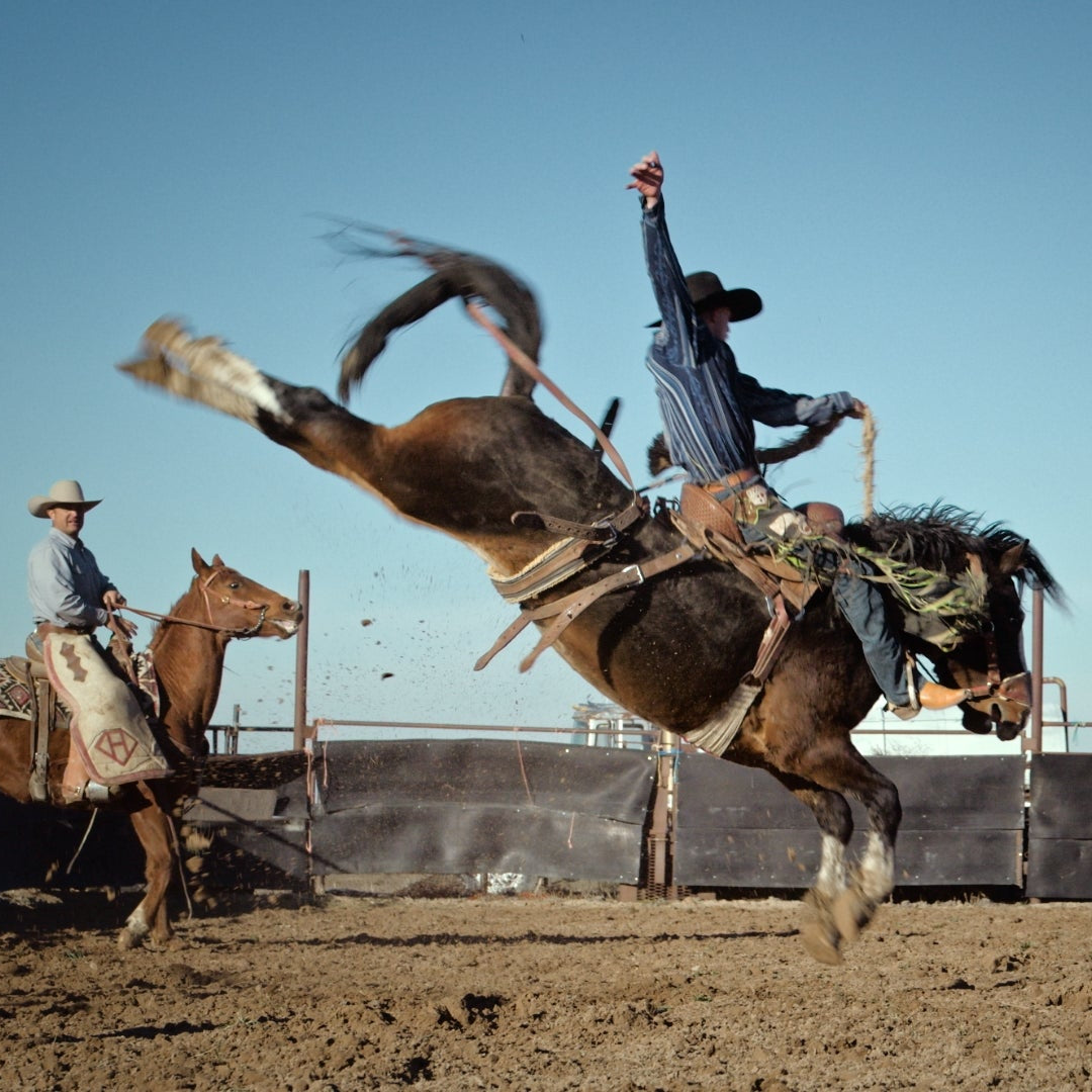 Diamond H Rodeo - Raising the Bar
