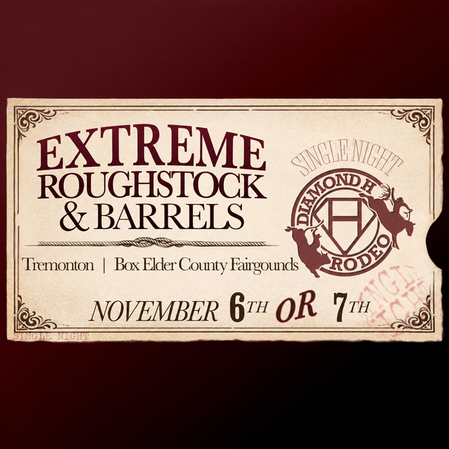 November 6th OR 7th (Single Night) Western Whiteout Rodeo