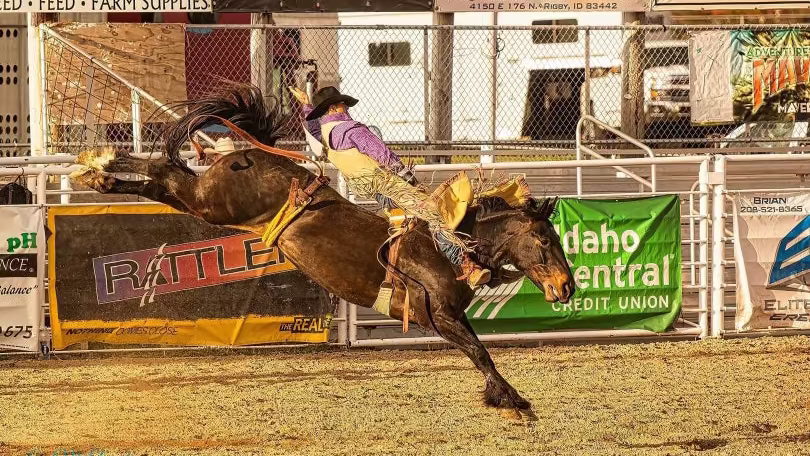 Rodeo rider on a bucking bull in a rodeo arena with various advertisements in the background.