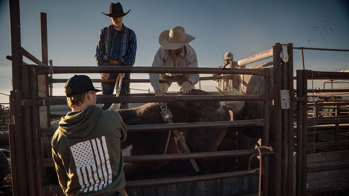 People interacting with animals in a rustic setting
