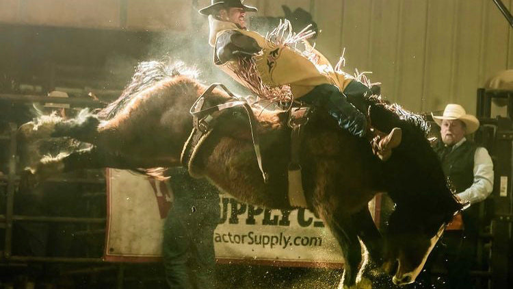 Cowboy riding a bucking bronco in a rodeo arena with visible branding.